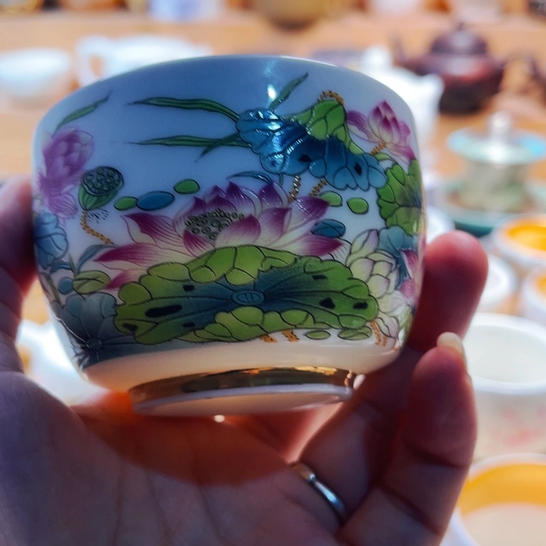 杯z r b z r b z f n z g n