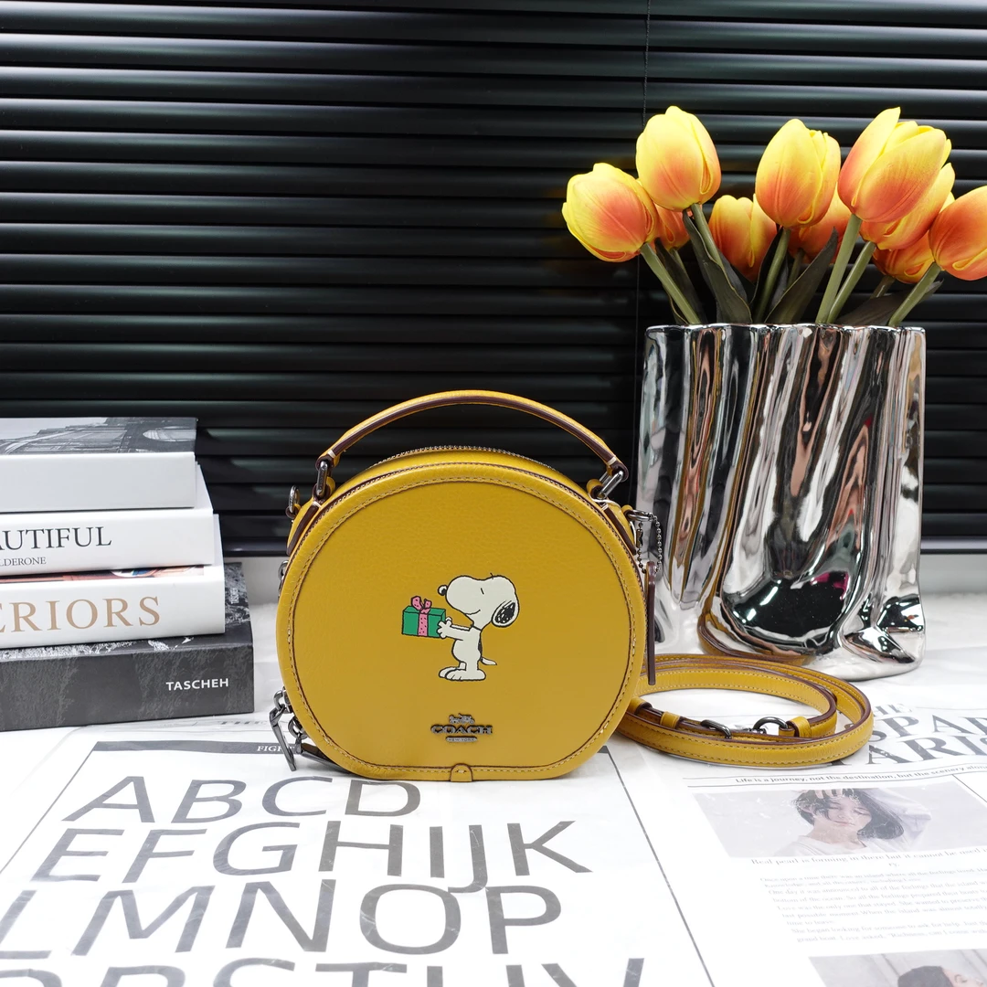 95新 COACH/蔻驰 单肩包/T10243376