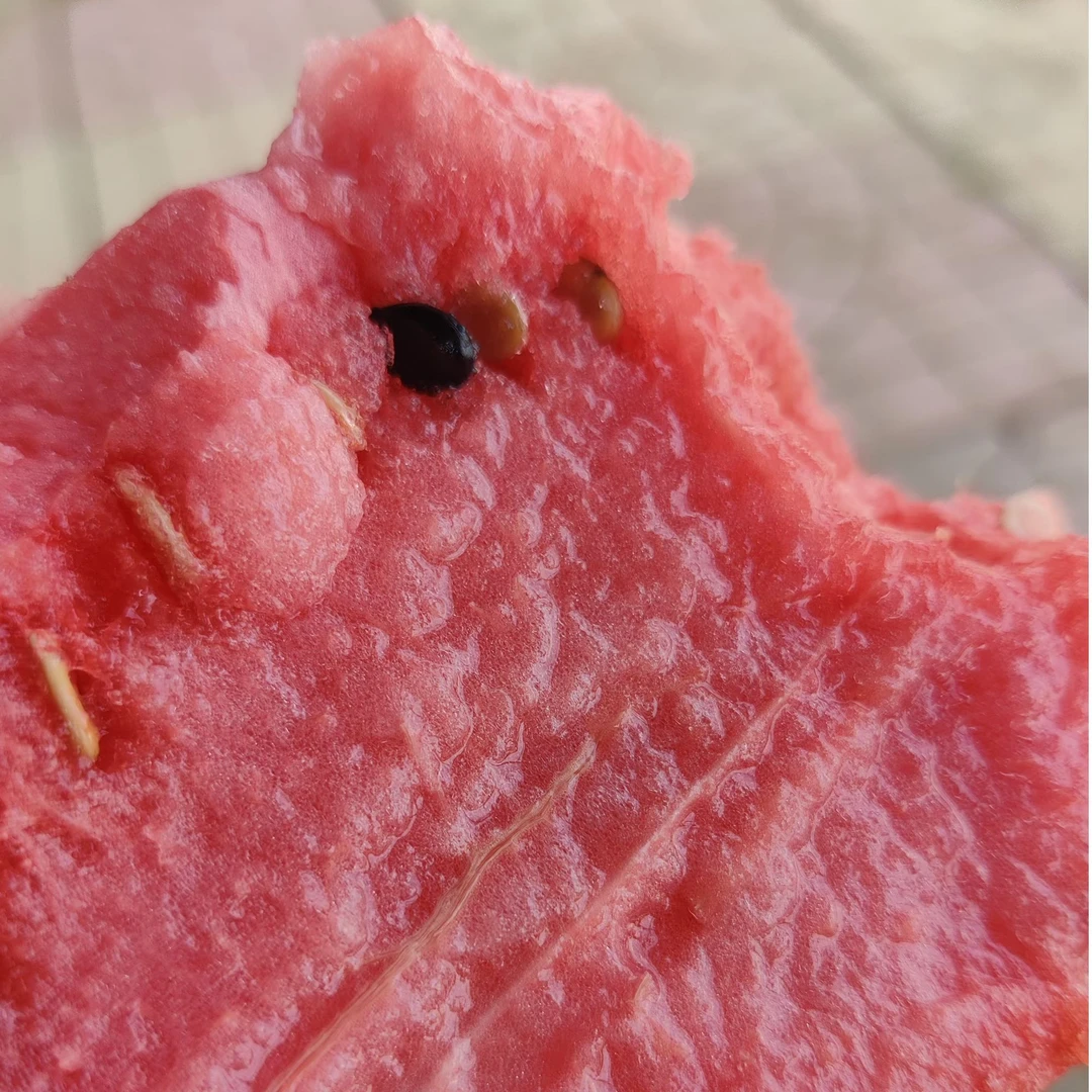 山东小西瓜当季头茬薄皮小糖丸西瓜新鲜水果冰糖西瓜整箱