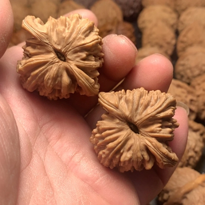 【闪购商品】L****?四座楼