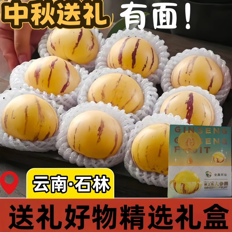 【精美礼盒装】云南石林人参果金黄圆果细腻多汁送礼好物热卖水果