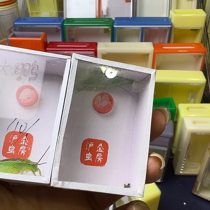 大***鹏哈哈哈哈哈哈哈哈哈哈哈