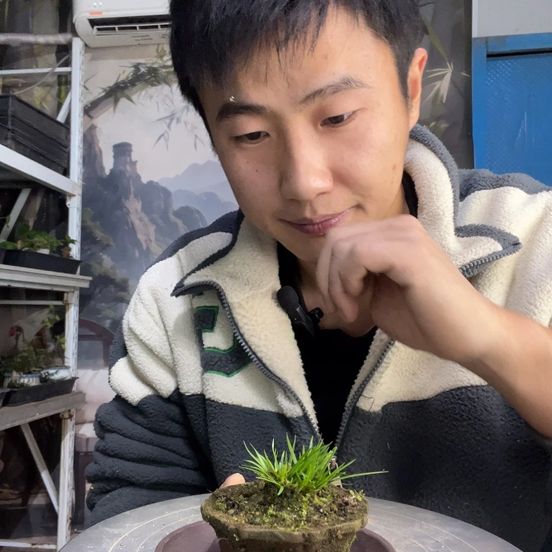 不***终中青园艺一物一拍103