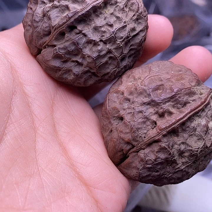 文玩核桃把件   127