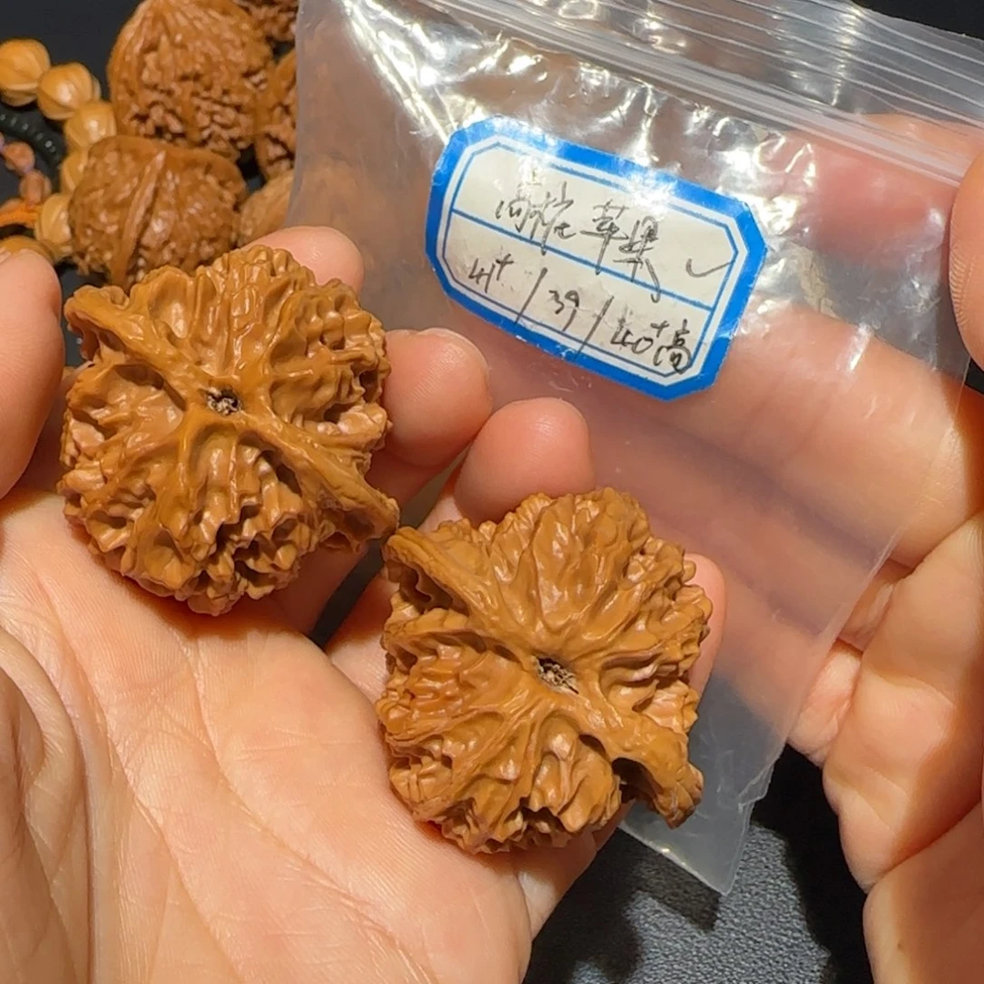 飞飞飞飞飞飞飞飞分