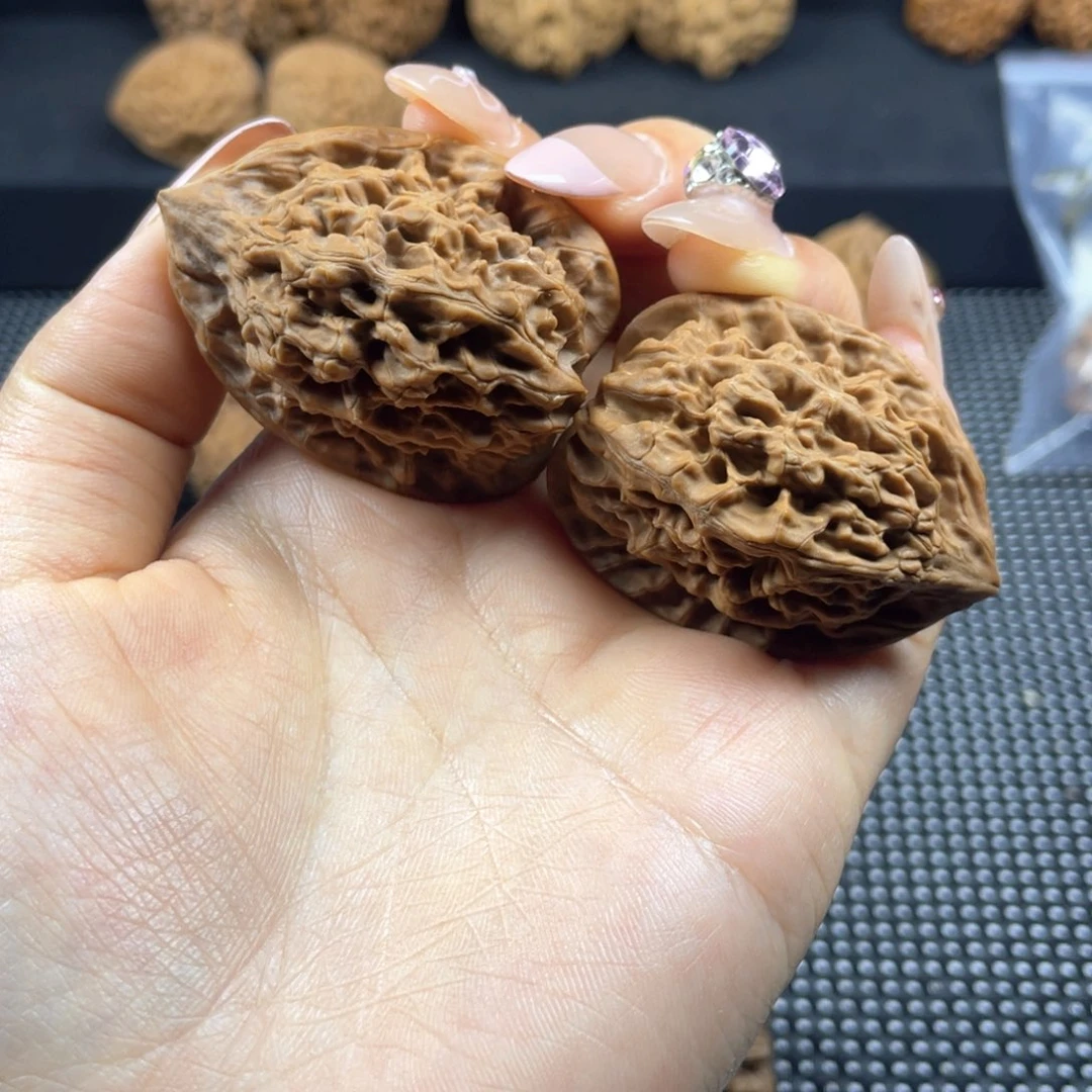 秦岭神树秦闷小王