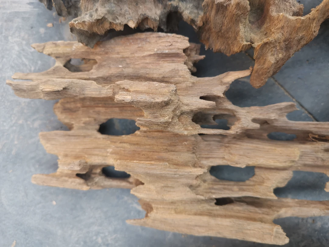 到手10斤（带包装盒重量）鱼缸造景虾木沉木水草造景观赏躲避屋