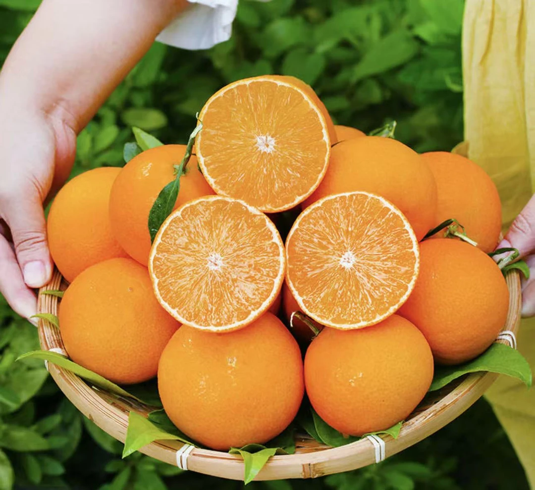 四川爱媛38号果冻橙新鲜应季皮薄肉厚汁水多无核化渣【精品果5斤】