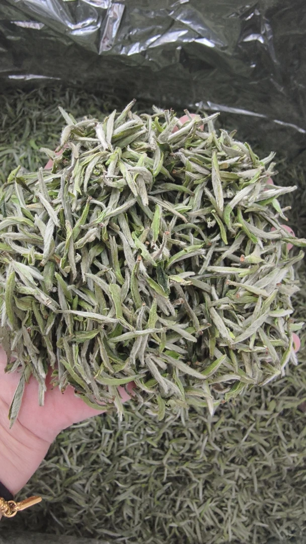 正宗福建福鼎高山荒野白毫银针2025年