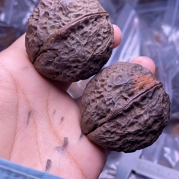 文玩核桃把件   56