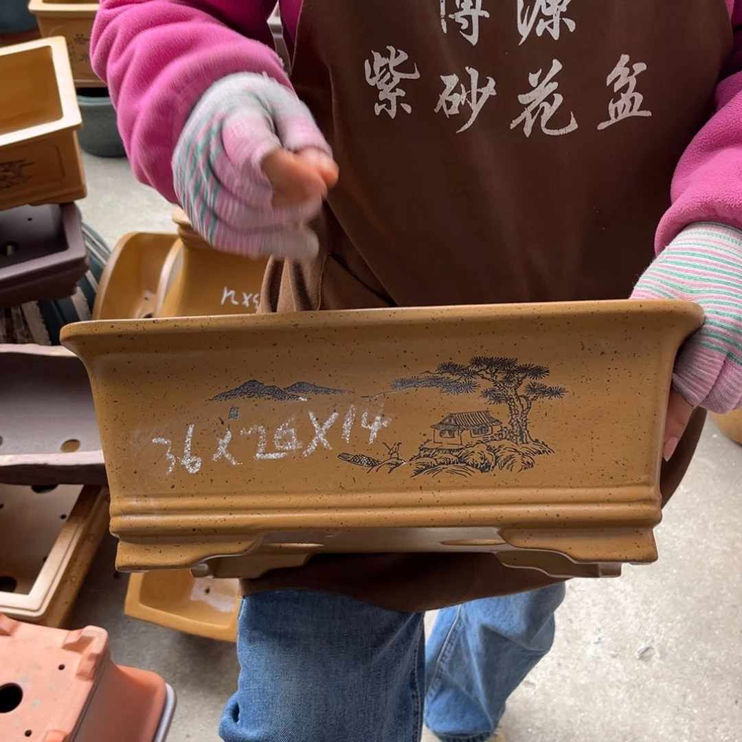 花盆紫砂盆景艺术