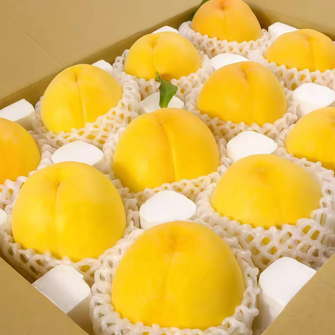 黄桃新鲜水果桃子黄毛桃子现货头茬黄金蜜时令大果锦绣