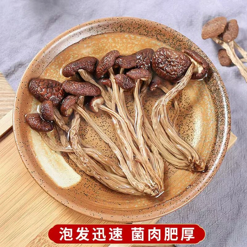 【拍五发六】茶树菇干货古田农家新鲜茶树菇晒干特产新货煲汤