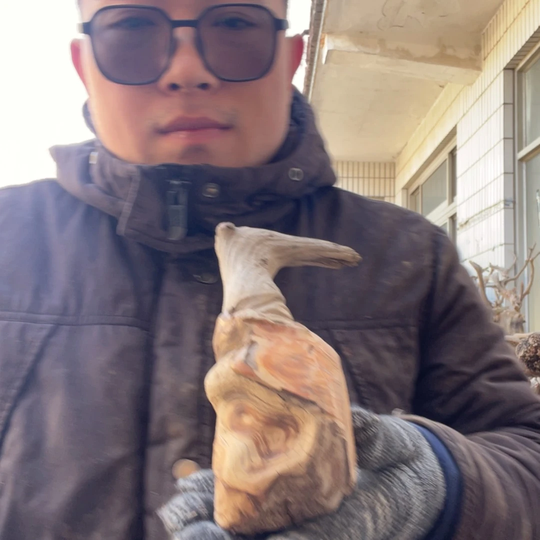 【闪购商品】柏木抖*啦咯啦咯啦咯啦咯