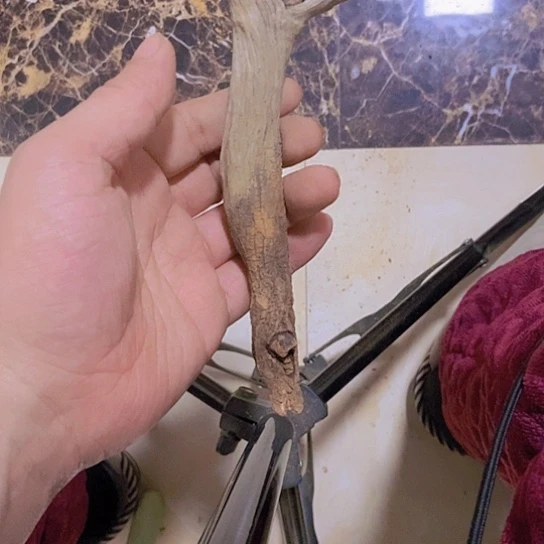 柏木A****9陈化到位坨坨疙瘩