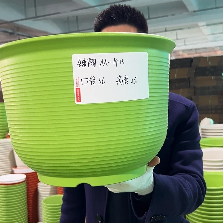 正品矮陶口36高25果绿3只无托