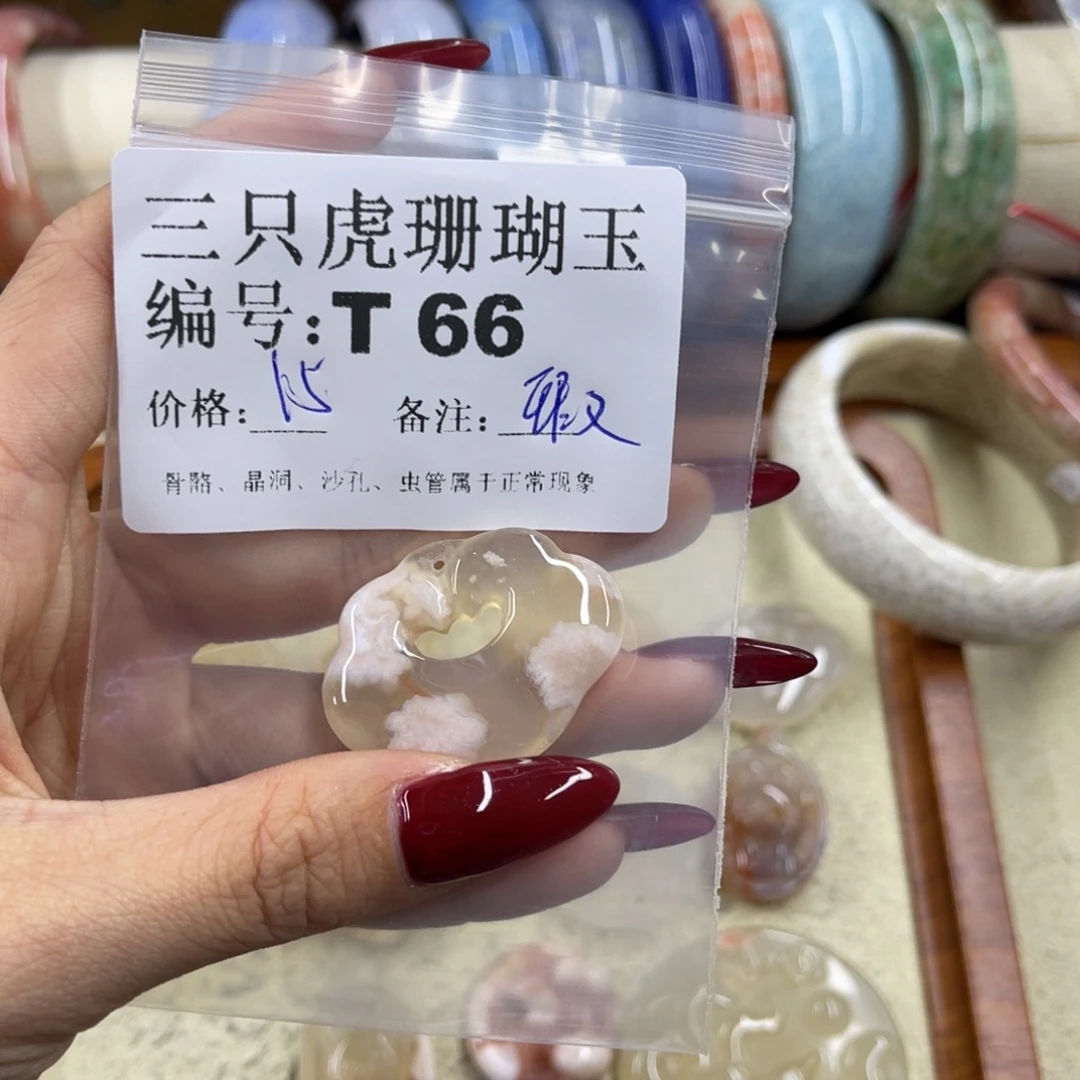 盖***里硅化珊瑚（珊瑚玉）未镶嵌h