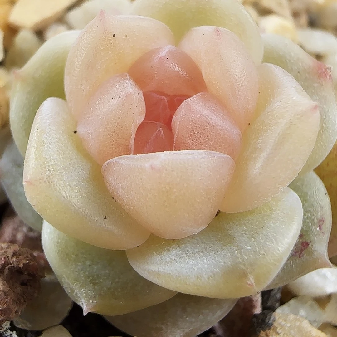 551号哈哈哈哈哈哈