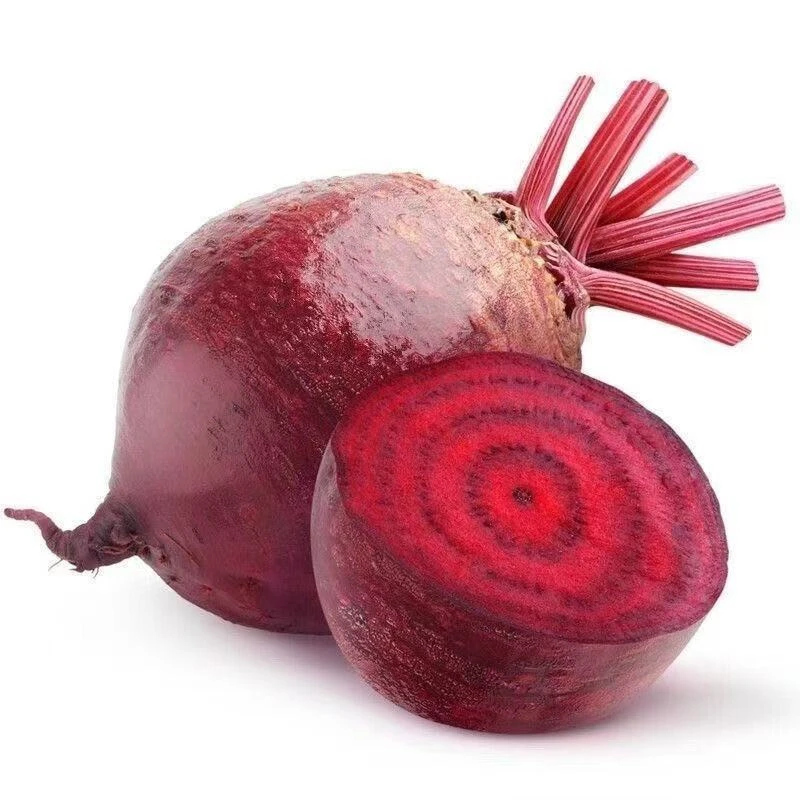 新鲜现挖甜菜根红菜头紫菜头可榨汁凉拌的健身蔬菜