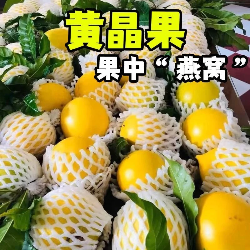顺丰包邮黄晶果香甜热带罕见水果新鲜采摘直发黄晶果鲜果