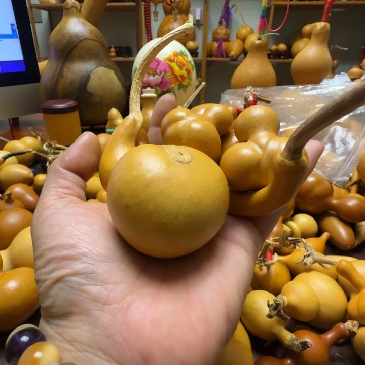 我***气精品课程等课程体系为