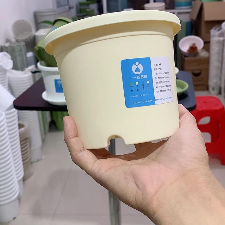 四季口15米黄5个无托