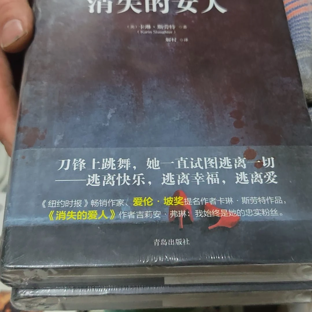 消失的女人精装库存书