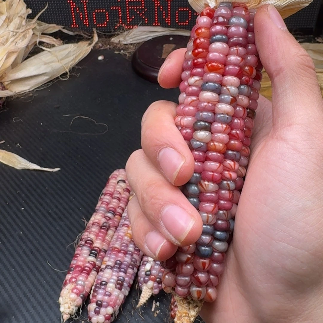 東***～柏香籽/百香籽吊坠