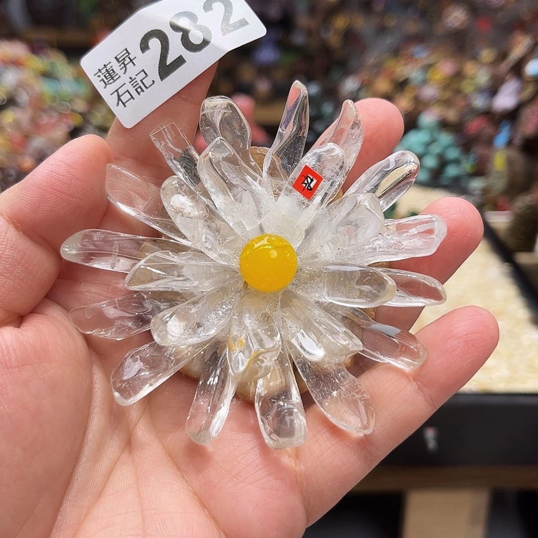 核桃木/黑胡桃（胡桃木）282