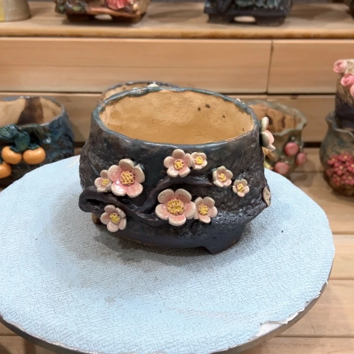 陶然多肉花盆百搭