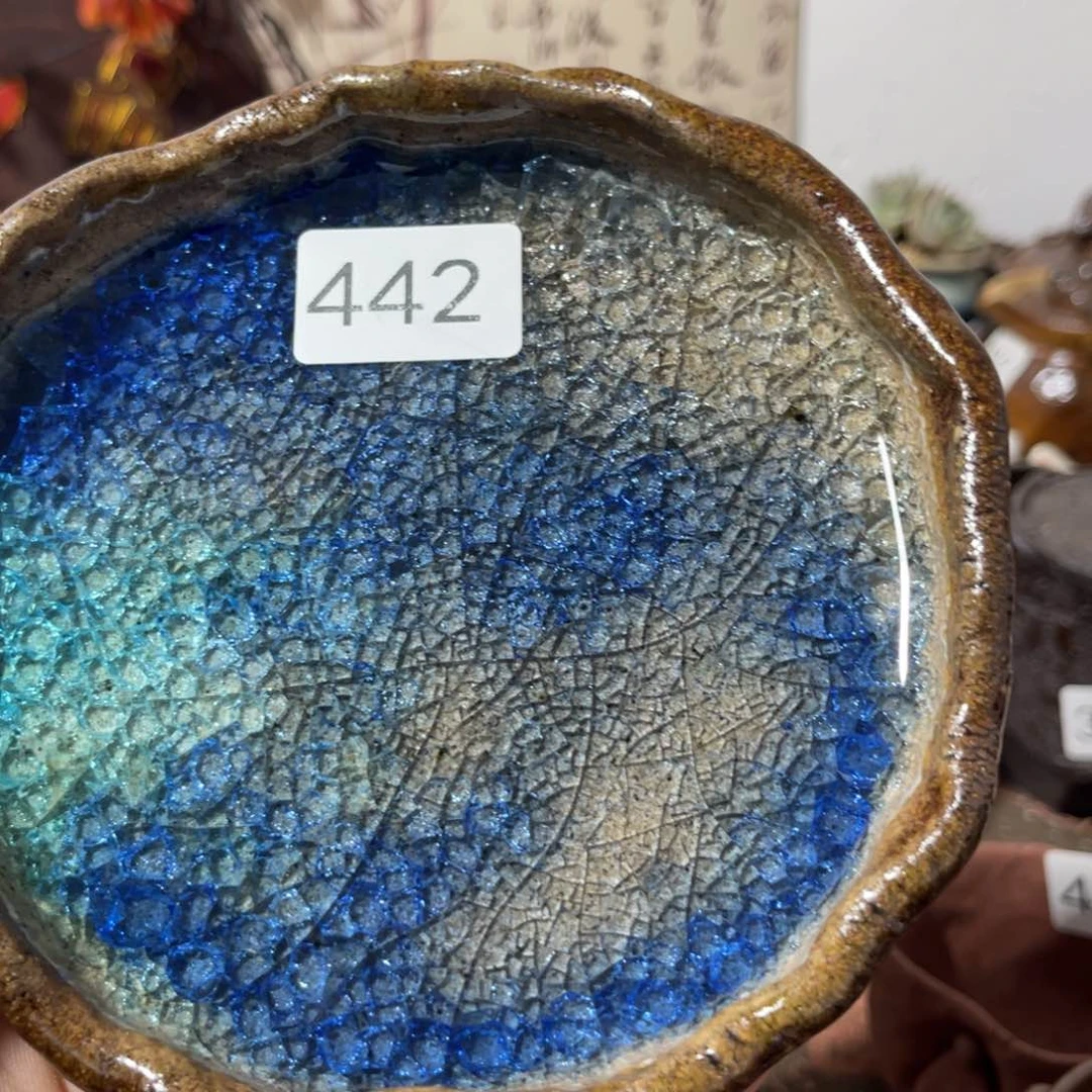 木村信弘柴烧保平