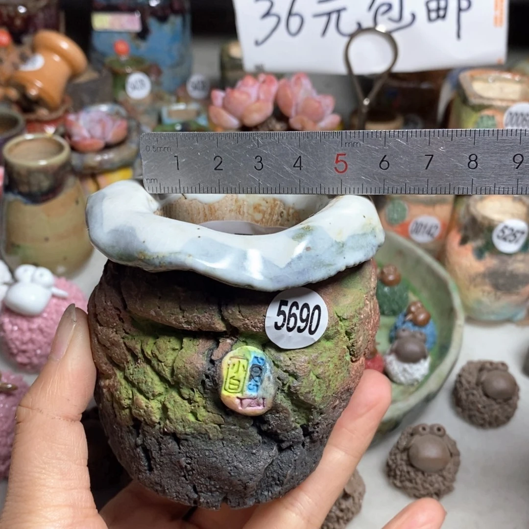 双十一活动不退不退原价82