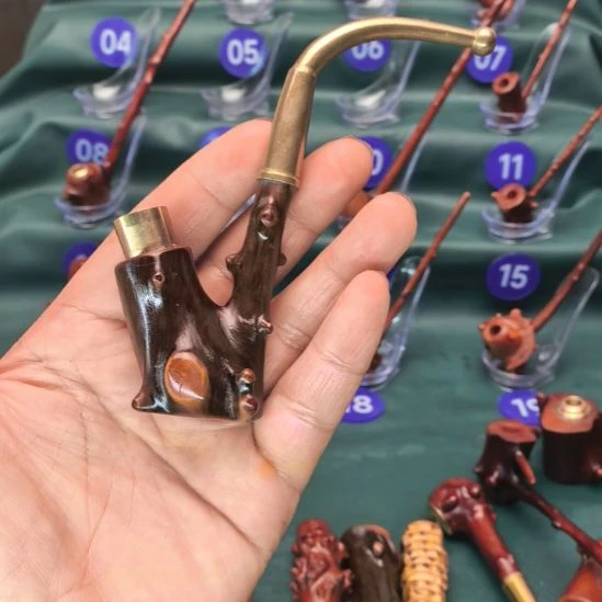 贵州檬子木一物一拍