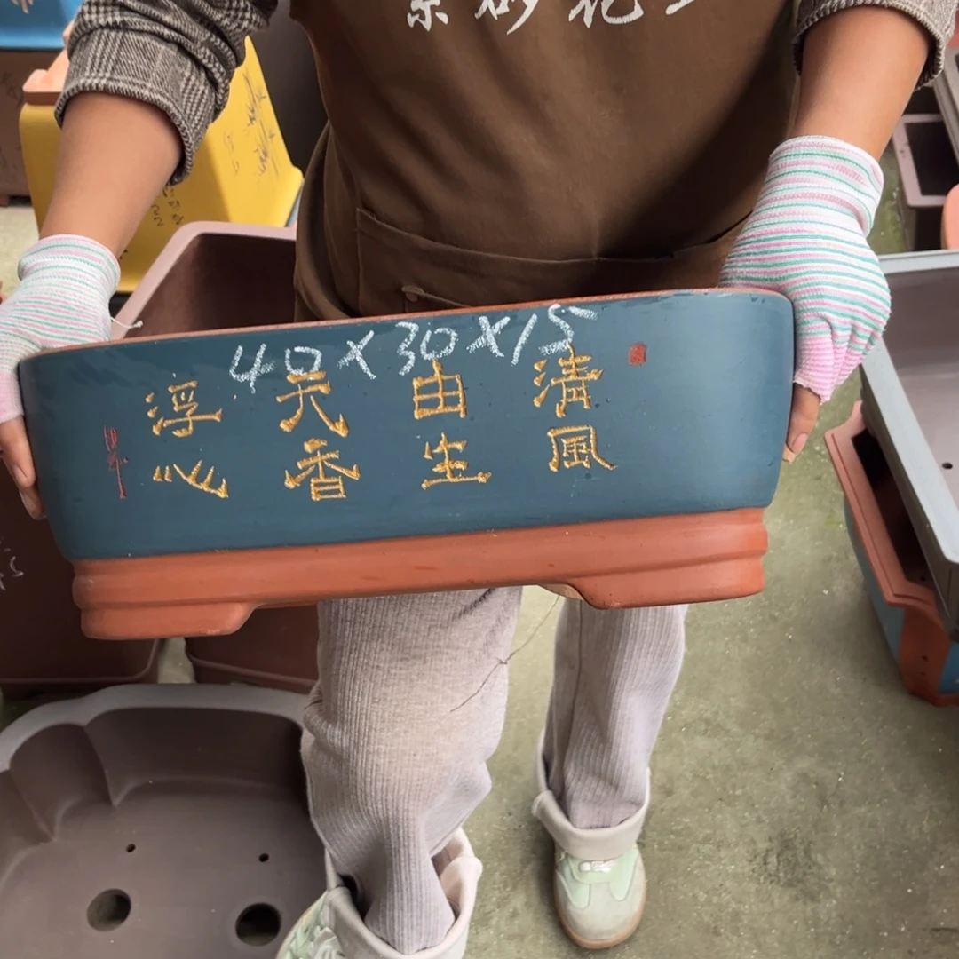 花盆紫砂盆景艺术