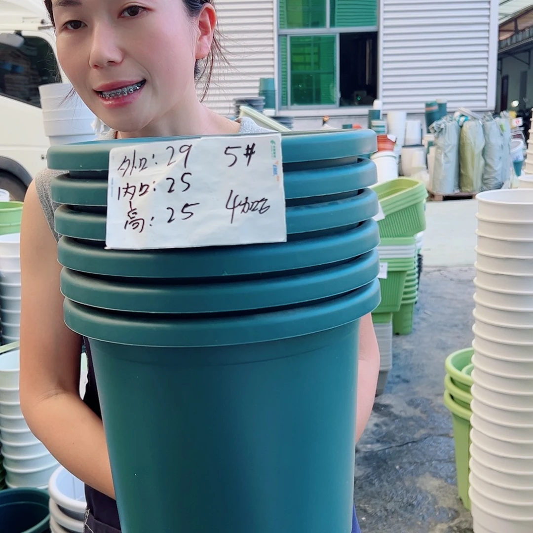 四季盆5#墨绿6个无托