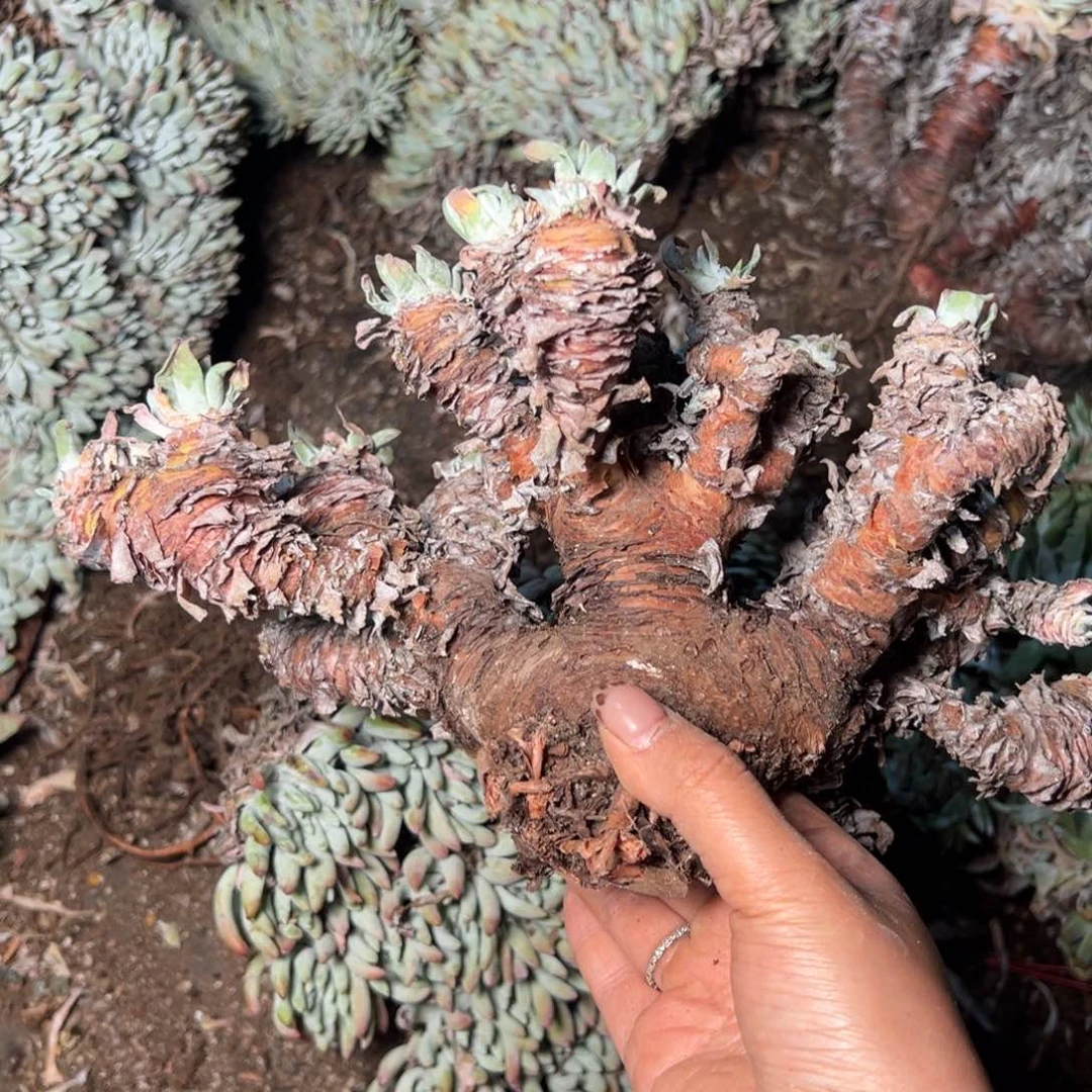 3708哈哈哈哈哈哈哈哈哈