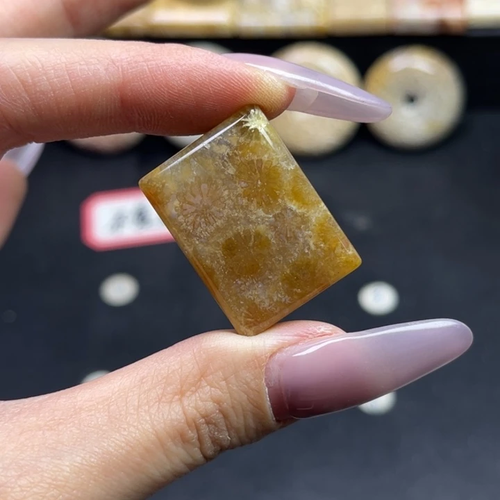 未镶嵌吊坠硅化珊瑚（珊瑚玉）