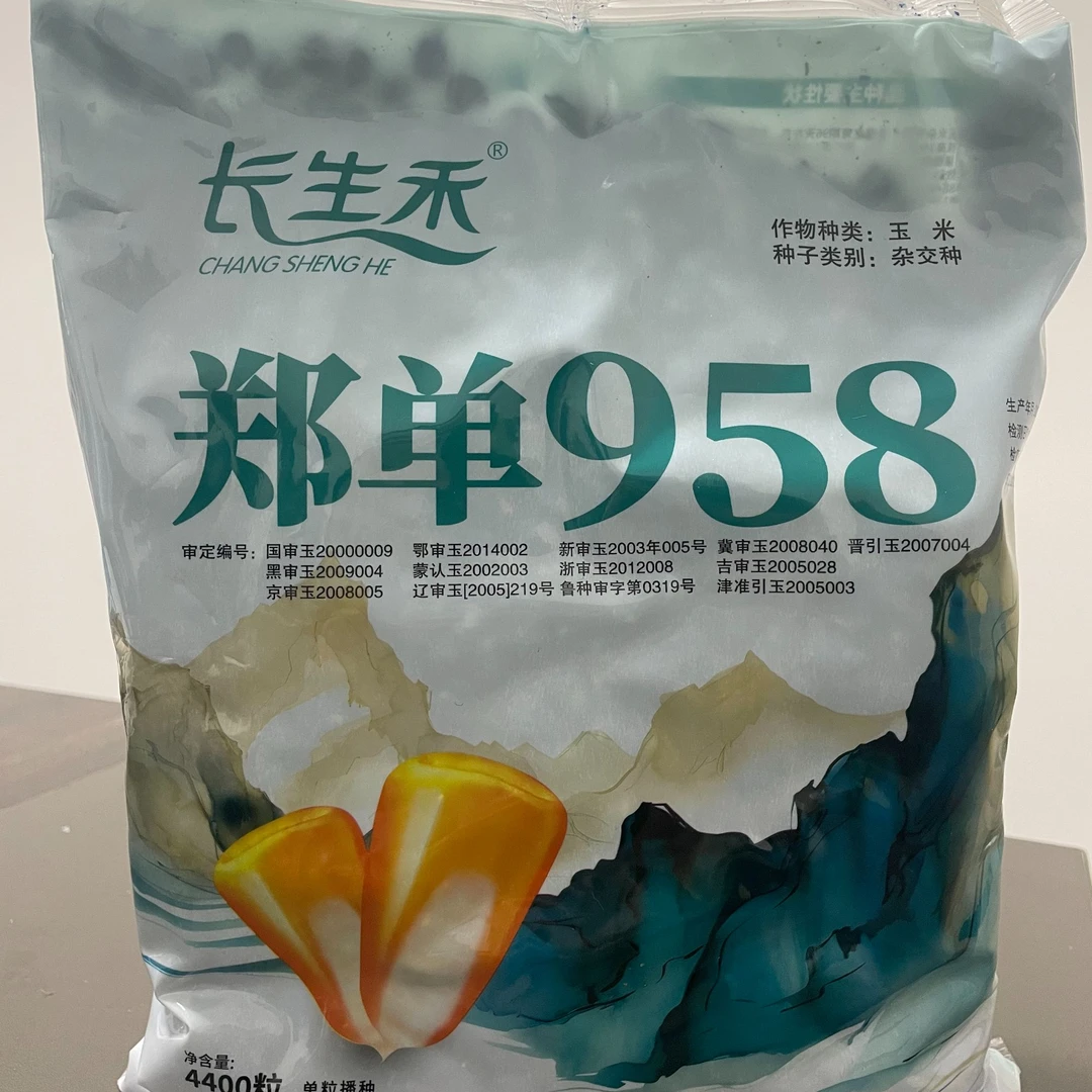 棒大穗匀高产适应性好稳定性高的玉米种五送一