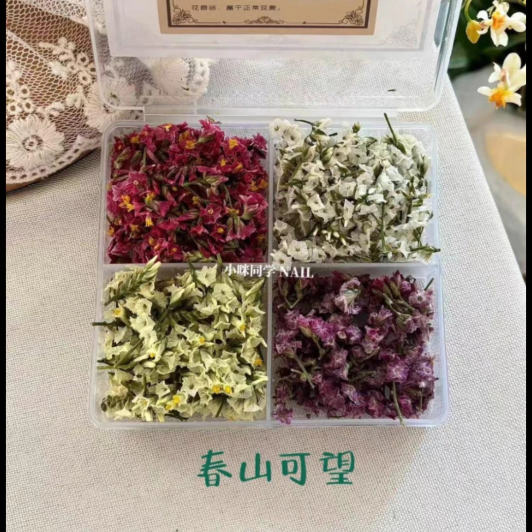 小咪同学原创美甲立体干花手工手帐diy素材（春山可望）加量