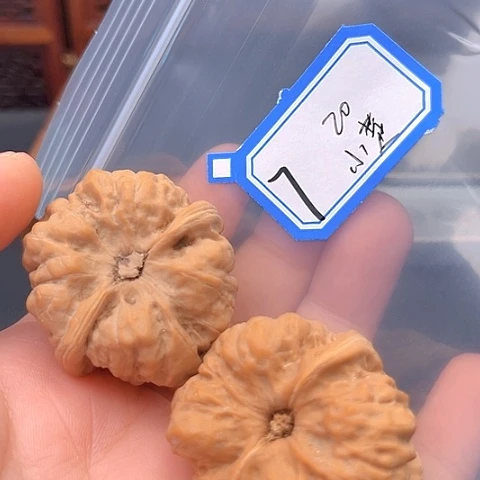 文玩核桃吊坠小***赵蛤蟆头