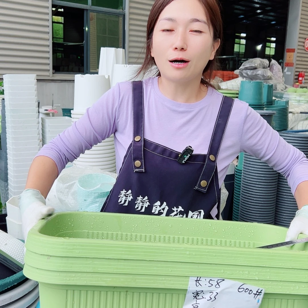 菜盆600#果绿3个无托
