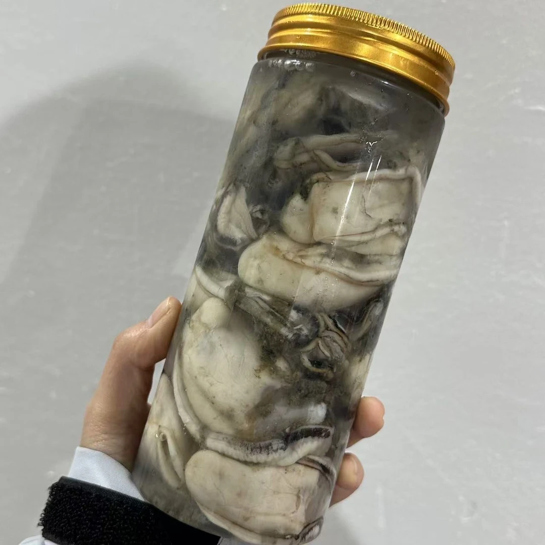 汕尾本港晨洲生蚝一瓶