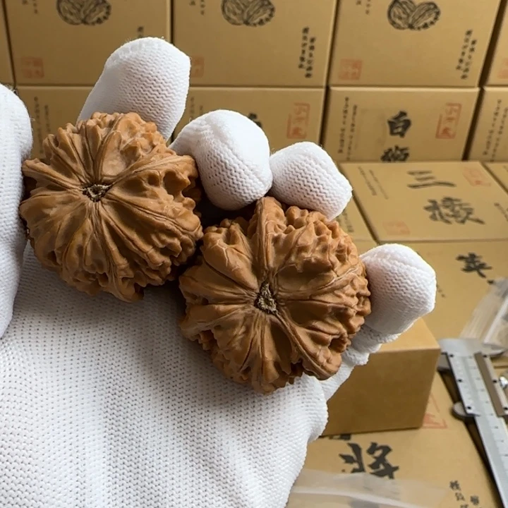 文玩核桃吊坠M****生玉龙三棱