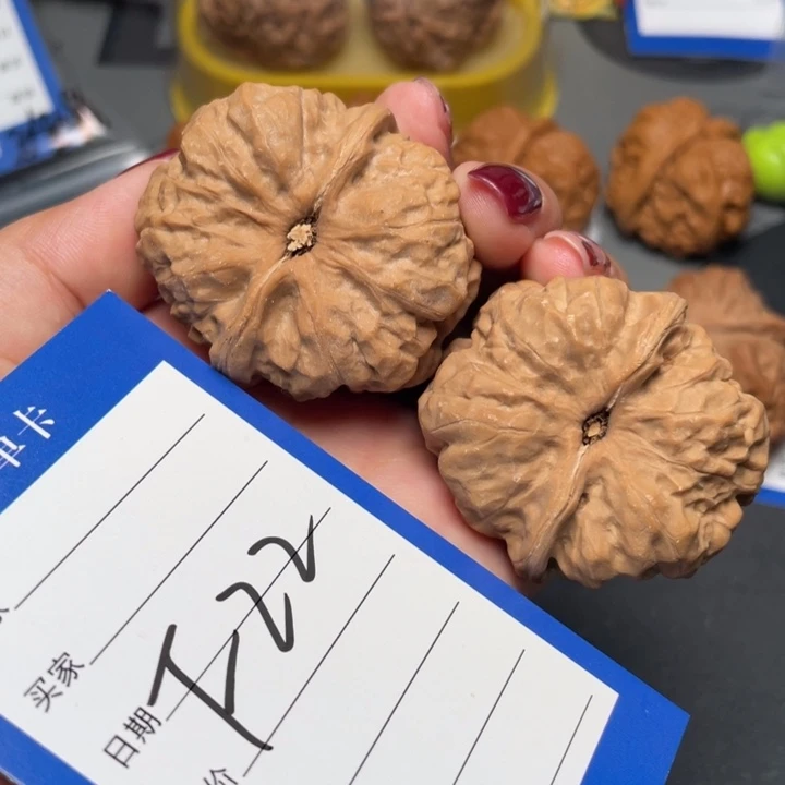 核桃肌肉立体蛙41 46 37