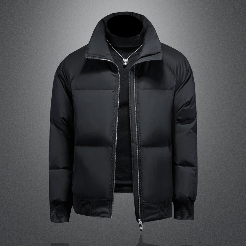 洛尼提日亚立领休闲羽绒服男2025年冬季新款90白鸭绒短款保暖加厚