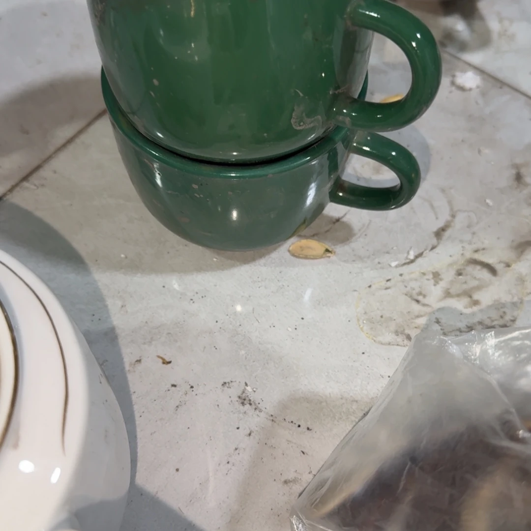 茶盏我是个没有安全距离且没人陪