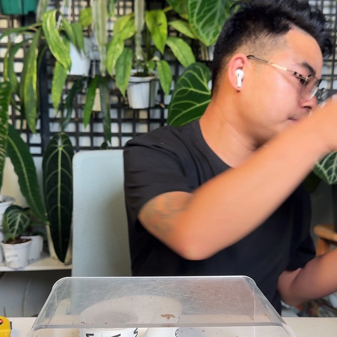 无花朵P*一物一拍W49