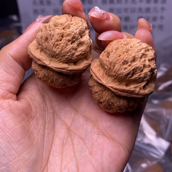 核桃云南野生铁核桃81号39