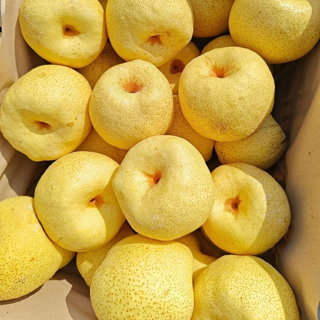 【顺丰京东包邮】陕西砀山酥梨应季新鲜水果脆甜多汁皮薄梨坏果包赔