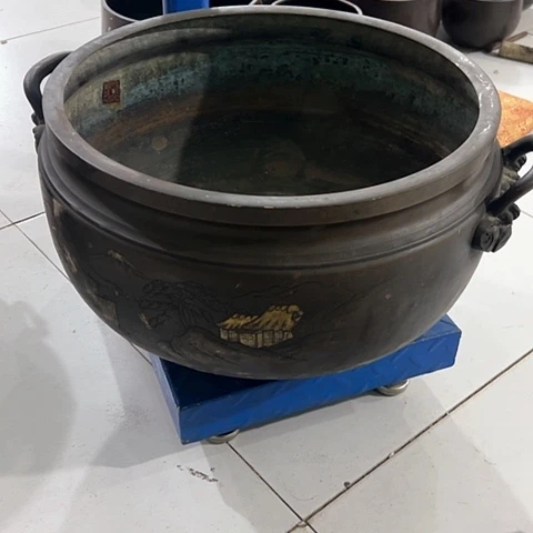 用****3向前看2567766554565665